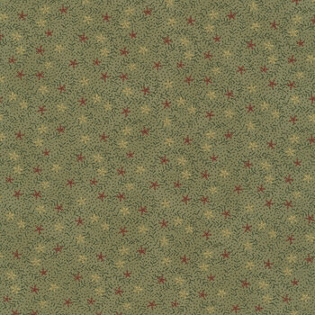 Bountiful Blessings 3638-66 Green by Janet Rae Nesbitt for Henry Glass Fabrics