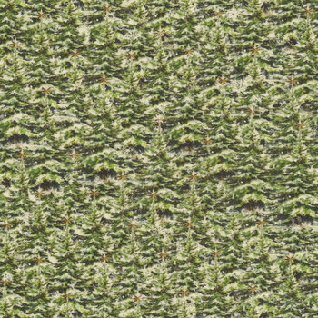 Christmas Magic 2026-66 Green by Frank Garcia for Blank Quilting