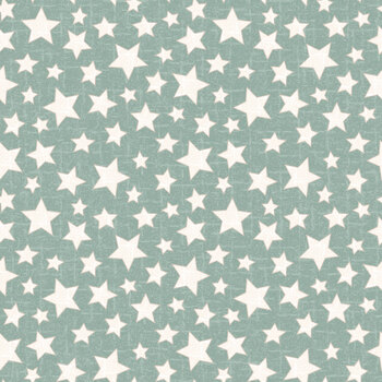 Snowtop Mountain Flannel MASF11165-Q Aqua by Bonnie Sullivan for Maywood Studio, Image