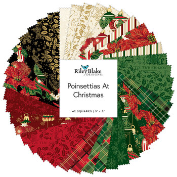 Poinsettias at Christmas  5