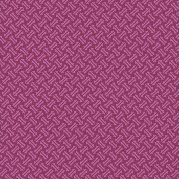 Kipling Gardens C17885-FUCHSIA by Lily Ashbury for Riley Blake Designs