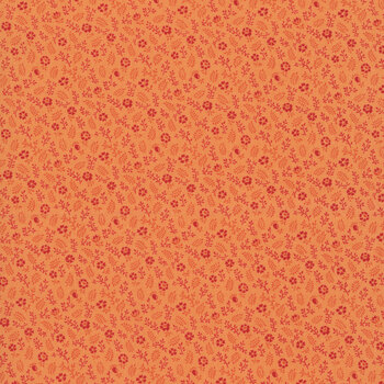 Kipling Gardens C17886-ORANGE by Lily Ashbury for Riley Blake Designs