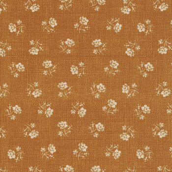 Baked with Love C17790-AMBER by Lori Holt for Riley Blake Designs