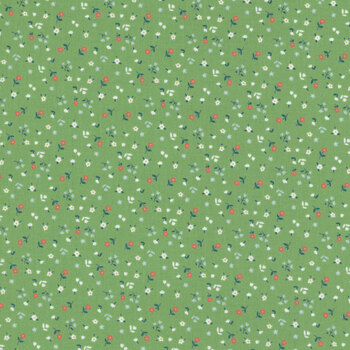 Cotton Nook C17975-GREEN by Minki Kim for Riley Blake Designs