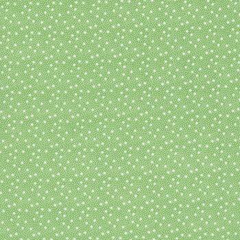 Dear Sweethearts C18097-GREEN by American Jane for Riley Blake Designs