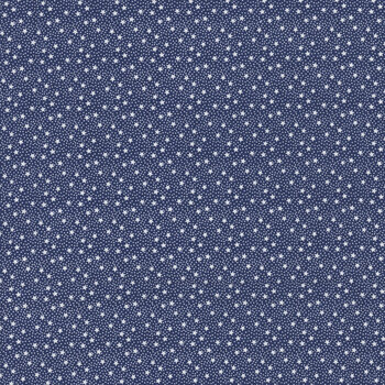 Dear Sweethearts C18097-NAVY by American Jane for Riley Blake Designs
