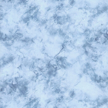 Mystic Meadow TEXTURE-CD4129 BLUE by Timeless Treasures Fabrics