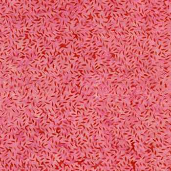 Tonga Poinsettia TONGA-B4232 ROSE by Timeless Treasures Fabrics, Image