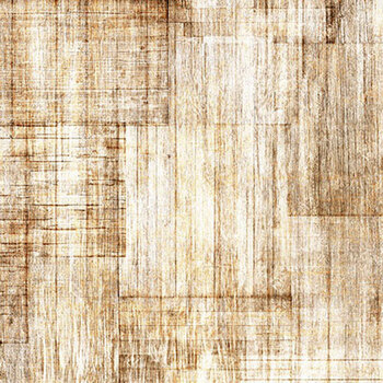 Into The Woods 30840-A Driftwood by Dan Morris  for Quilting Treasures Fabrics, Image