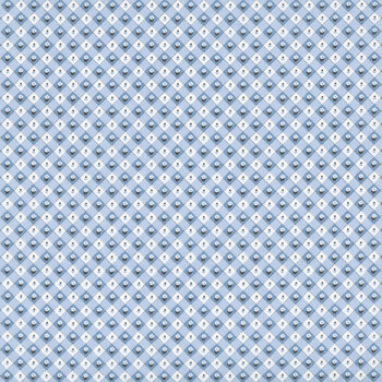 Homegrown Preserves HG26807 Blue by Sheri McCulley for Poppie Cotton