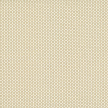 Special Delivery A-10477-L Muslin by Laundry Basket Quilts for Andover Fabrics
