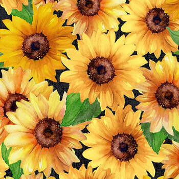 Sunshine Whispers 108" Wide 9052-952 Black by Bruce Park Licensing for Wilmington Prints, Image