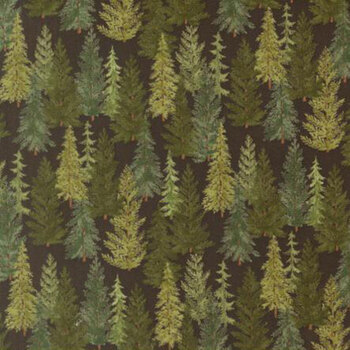 Northwoods Lodge 56192-22 Soil by Deb Strain for Moda Fabrics, Image