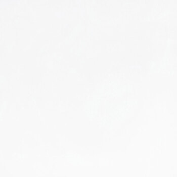 Minky Deluxe 108" 1394-Snow by Sykel Studio for Benartex, Image