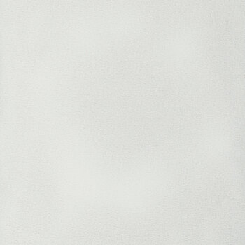 Minky Deluxe 108" 1394-Silver by Sykel Studio for Benartex, Image