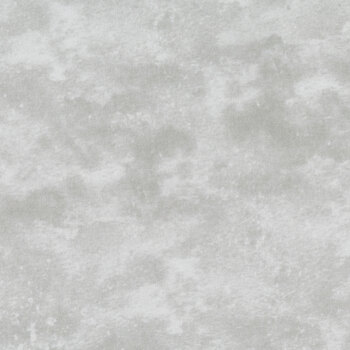 Toscana 118" Wide BX9020-91 Silver Lining by Deborah Edwards for Northcott Fabrics