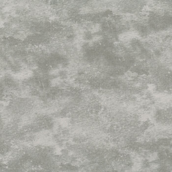 Toscana 118" Wide BX9020-93 Going Gray by Deborah Edwards for Northcott Fabrics