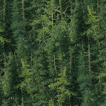 Northwoods - Naturescapes DP29171-78 Dk Green by Rosemary Millette for Northcott Fabrics, Image