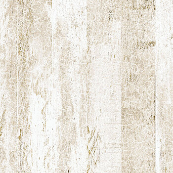 Shadow & Light DP29223-12 Cream by Elise Genest for Northcott Fabrics, Image