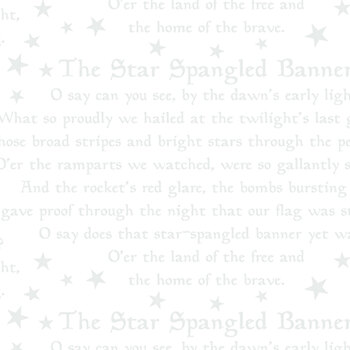 Star Spangled Whites 15357-09 White by Kanvas Studio for Benartex, Image