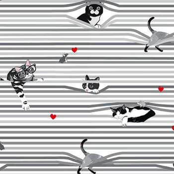Are You Kitten Me? CAT-CD3020 WHITE by Alice & Tilly for Timeless Treasures Fabrics, Image