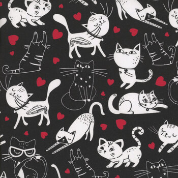 Are You Kitten Me? CAT-CD3833 BLACK by Timeless Treasures Fabrics
