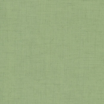 Remix  CD4300-SAGE by Timeless Treasures Fabrics
