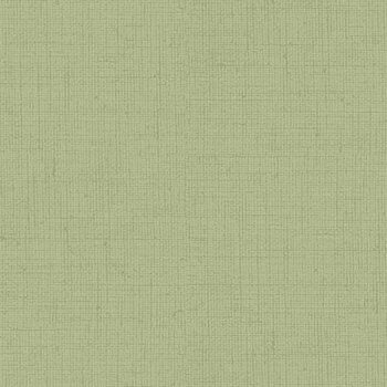 Remix  CD4300-SAGE by Timeless Treasures Fabrics, Image
