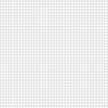 Our Little Adventure KIDZ-CD4414 GREY by Timeless Treasures Fabrics, Image