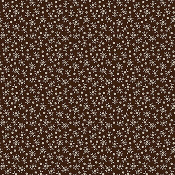 Worth Repeating C18266-COFFEE by Sandy Gervais for Riley Blake Designs, Image