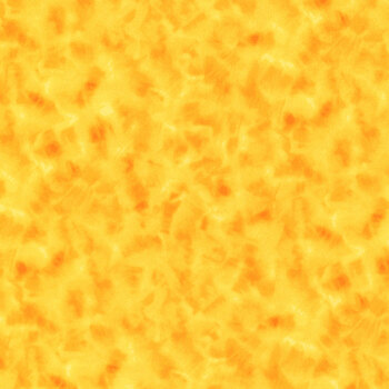 Color Dance 29008-SO by Quilting Treasures Fabrics, Image