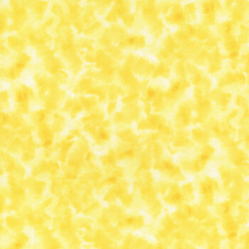 Color Dance 29008-S by Quilting Treasures Fabrics, Image