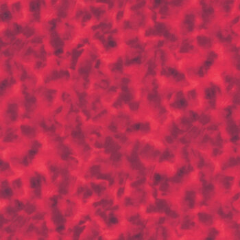 Color Dance 29008-R by Quilting Treasures Fabrics, Image