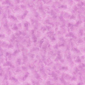 Color Dance 29008-LP by Quilting Treasures Fabrics, Image