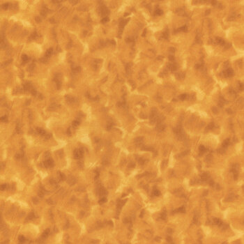 Color Dance 29008-SA by Quilting Treasures Fabrics, Image