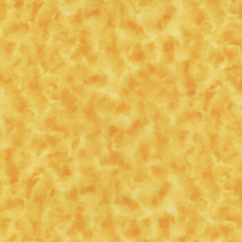 Color Dance 29008-SK by Quilting Treasures Fabrics, Image