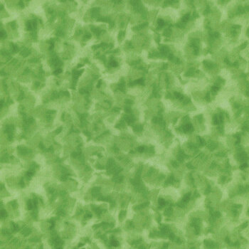 Color Dance 29008-GK by Quilting Treasures Fabrics, Image