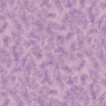 Color Dance 29008-LK by Quilting Treasures Fabrics, Image