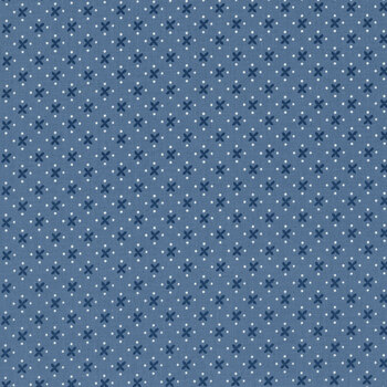 Denim & Daisy C18134-DENIM by Lori Holt for Riley Blake Designs