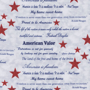 American Valor 16872-05 Light Blue by Cheryl Haynes for Benartex, Image