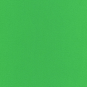 Winterfleece Solids 7900 Jolly by Whistler Studios for Windham Fabrics, Image