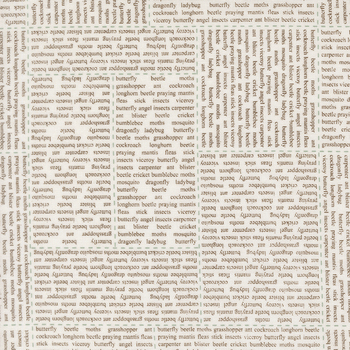 Bug Collector 55730-21 Cloud-Dirt In The News by Sweetwater for Moda Fabrics, Image