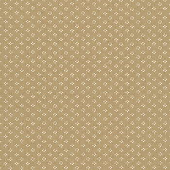 Bug Collector 55736-29 Stone Dot Dot Dot by Sweetwater for Moda Fabrics