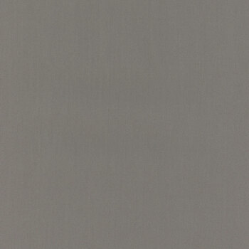 Pure Solids PE-430 Pure Solids Moonstone by Art Gallery Fabrics