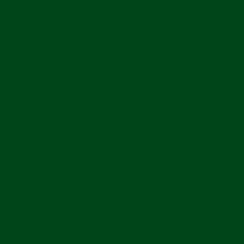 Flannel Solids F120-CHRISTMASGREEN Christmas Green by Riley Blake Designs