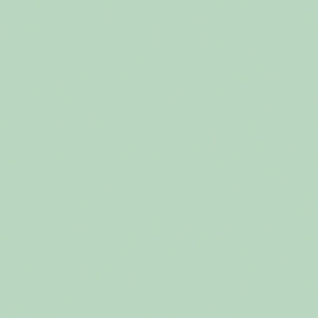Flannel Solids F120-SAGE Sage by Riley Blake Designs