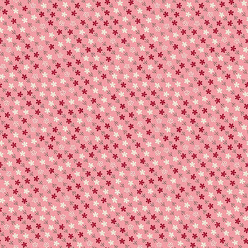 Family Reunion C18398-CORAL Generations Coral by Lori Holt for Riley Blake Designs