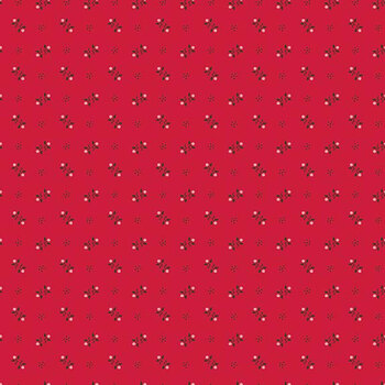 Family Reunion C18400-SCHOOLHOUSE Grandpa Schoolhouse by Lori Holt for Riley Blake Designs