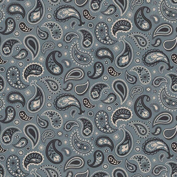 Horseshoe Creek C18474-IRON Paisely Iron by Riley Blake Designs