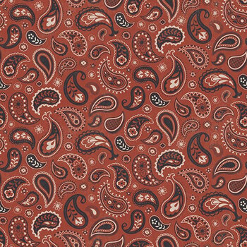 Horseshoe Creek C18474-TERRACOTTA Paisley Terracotta by Riley Blake Designs